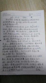 娱乐圈吃瓜作文800字