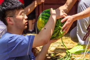 娱乐吃瓜钓鱼视频大全集